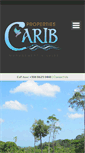 Mobile Screenshot of cariblots4sale.com