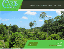 Tablet Screenshot of cariblots4sale.com